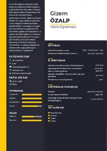 Müzik Öğretmeni Cv Örnekleri cv indir